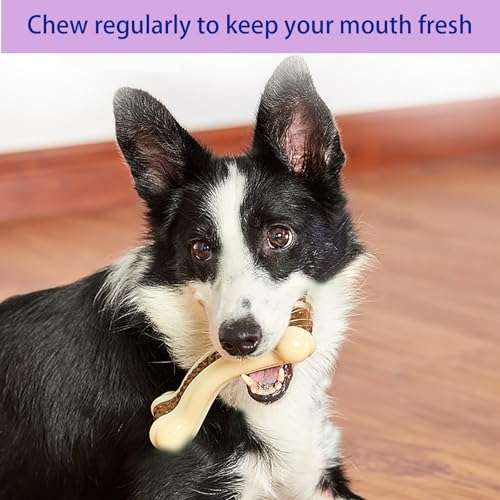 Dog Bones Chew Toys for Aggressive Chewers, 2 Pack Real Beef Flavor,Indestructible Teething Chew Toys for Large/Medium/Small Breed,Tough Toy with Durable Nylon - size: 8 Pcs C Bones Beef Flavor