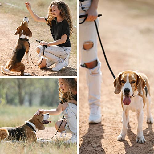 Waterproof Dog Collar and Leash Set Adjustable Quick Release Buckle Collar Leash for Small Medium Large Dogs (Medium, Black)