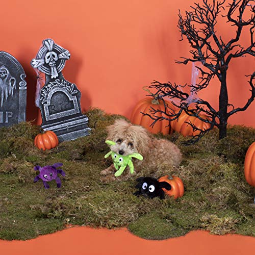 Fringe Studio, Creepy CRAWLY Spiders, Small Plush Dog Toy 3PCS Set, PetShop Collection (289479) - color: Spider