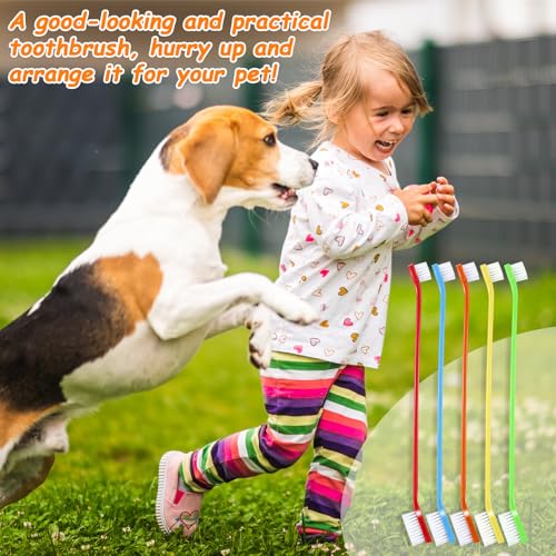 Honeydak Dog Toothbrush Bulk Dual Headed Dental Brushes Dogs Tooth Brushing Kit Long Handle Pet Tooth Brush for Puppy Large Small Cats and Most Pets Teeth Cleaning Dental Supplies(70 Pcs,Multicolor) - color: Multicolor