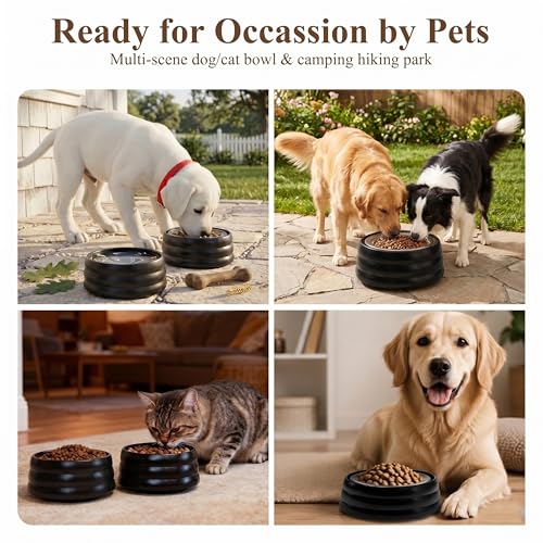 BOBO & Bowl Pet Drinking Bowl (1.2L/40 oz), Food-Grade Ceramic Water Bowl for Small & Medium Dogs - Elevated, Heavy Sturdy, Dishwasher & Microwave Safe, Black - color: Black
