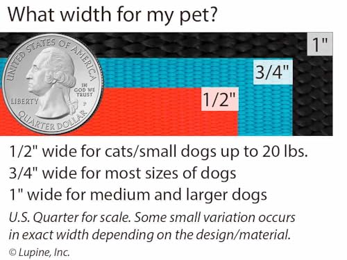 LupinePet Waterproof Splash Dog Collar, True Blue, 1-inch Wide, adjusts 16-28", Made with BioThane - color: True Blue, size: Large: Adjusts from 16 to 28 in, 1-in wide