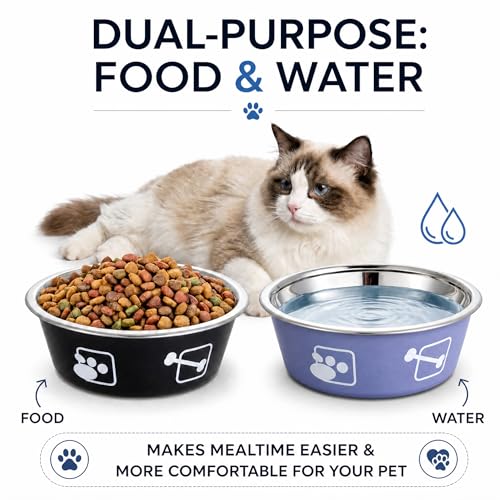2-Pack Dog Bowls, Stainless Steel Pet Bowls, Thickened Rust-Proof Inner Bowl, Non-Slip Rubber Base, 2-in-1 Food & Water Bowl for Indoor Use (Black + Purple) (Black + Purple, L) - size: L