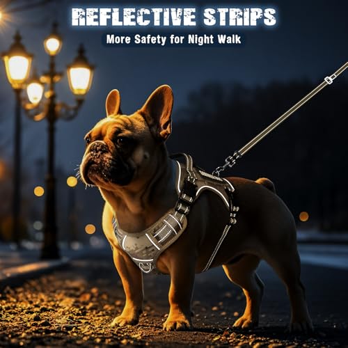 Tactical Dog Harness and Leash Set Small Sized Dog,Heavy Duty No Pull Service Dog Vest and 10 Patches with Dog Seat Belt,Reflective Adjustable Pet Harness for Training Walking Hiking Camo S - color: Desert Camo, size: Small