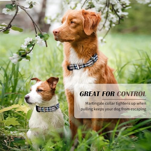 Hikiko Dog Collar for Small Medium Large Dogs, Adjustable Nylon Martingale Collars with Quick Release Buckle (Beige Plaid,S) - color: Beige plaid, size: Small