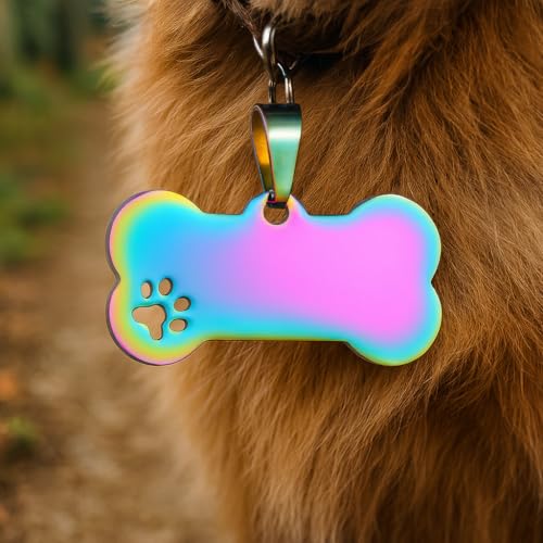 Custom Personalized Stainless Steel Pet ID Tag, Engraved Name and Phone Number Collar Charm for Dogs and Cats, Durable Identification Plate