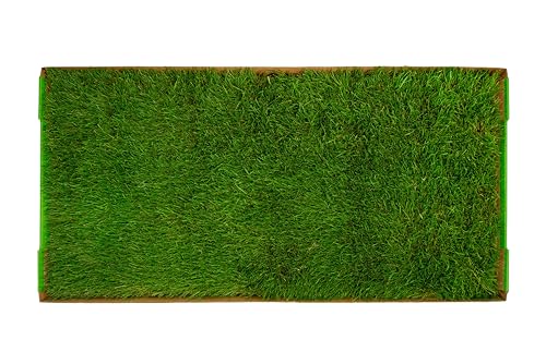DoggieLawn XL - Real Grass Dog Pee Pad with Built-in Disposable Tray | No Cleaning, Odor-Free | Indoor Outdoor Potty Training for Puppies & Large Dogs | 48" x 24" - size: X-Large 24x48 inches