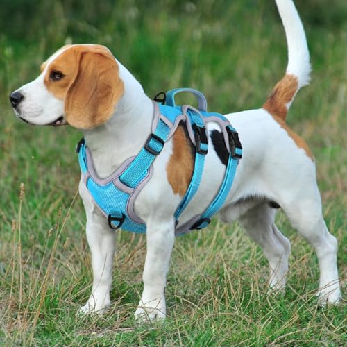 Beirui Escape Proof Dog Harness, No Pull Dog Harness,Reflective Dog Harness with Handle, Breathable,Durable, Adjustable Vest for Medium Dogs Outdoor Walking(Blue,Chest 19-25")