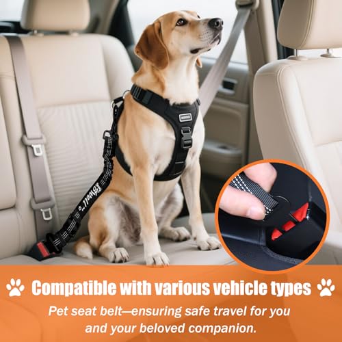 IBWell Dog Seat Belt,3 Piece Set Retractable Dog Car Harness Adjustable Dog Seat Belt for Vehicle Nylon Pet Safety Seat Belts Heavy Duty & Elastic (Black 2PCS) - color: Black 2PCS