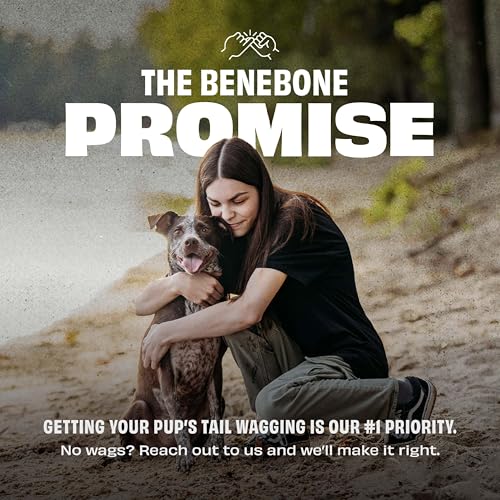 Benebone Durable Rubber Dog Toy Ball, USA 250th Anniversary Limited Edition America 250, One Size - size: 1 Pack, style: America 250 - Ball