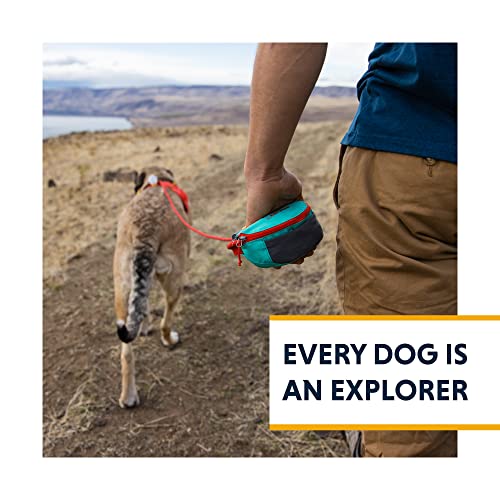Ruffwear, Hitch Hiker Dog Leash, Adjustable Leash & Hitching System for Camping & Hiking, Slate Blue - color: Slate Blue