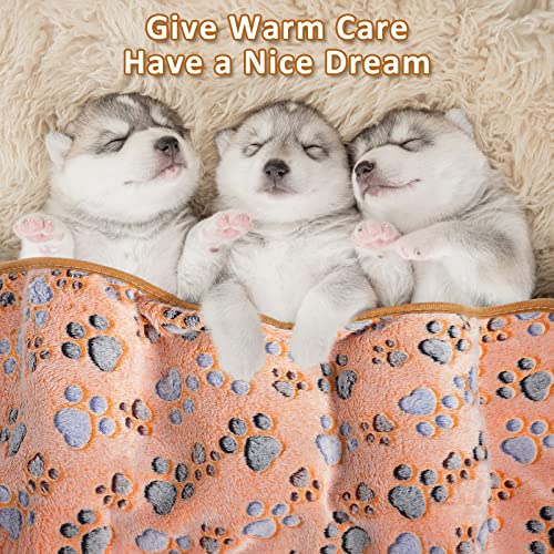 Tegeme 12 Pcs Pet Blankets 23 x 16 Inch Soft Fluffy Fleece Dog Cat Warm Paw Print Pattern Blankets Flannel Throw for Pets Dog Puppy Cat(Dark Gray, White, Camel) - color: Dark Gray, White, Camel, size: 23 x 16 Inch