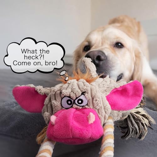 Funny Squeaky Dog Toys – No Stuffing Plush Donkey Chew Toys for Small, Medium and Large Dogs, Interactive Tug of War Pup Toys with Crinkle Paper & 2 Squeakers Each (2 Pack) - style: Donkey