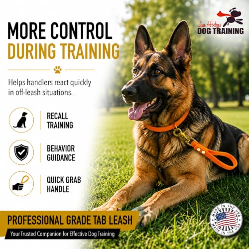 Biothane Training Tab Leash for Dogs, Brass Hardware, No Pull with Easy Grip Handle, Made in The USA, Professional Grade-Orange - color: Orange