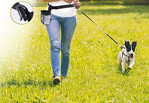 AMZNOVA Dog Treat Bag Treatnow Dog Treat Pouch, Training Pouch with Waist Belt & Clicker for Training & Walking, Waist Clip On Snack Fanny Pack for Pet, 3Cups, Grey - color: Grey