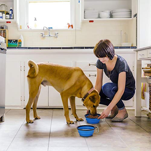 Kytely Large Collapsible Dog Bowls 2 Pack, 34oz Foldable Dog Travel Bowl, Portable Pet Water Food Bowl with Clasp, Pet Cat Feeding Cup Dish for Traveling, Walking, Hiking (Blue+Blue) - color: Blue & Blue