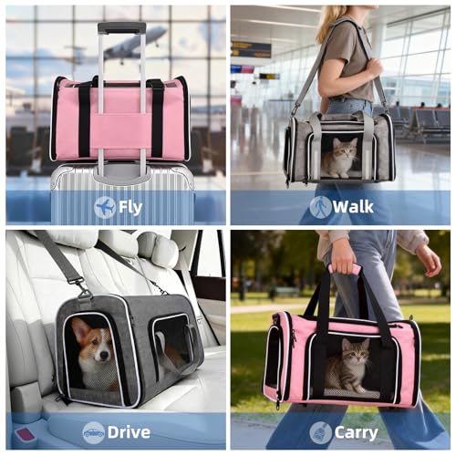 Cat Dog Carrier Soft for Small Medium Pet Up to 15 Lbs, Collapsible Portable Cat Travel Carrier, Airline Approved Small Dog Cat Carrier, Soft Sided Pet Carrier for Puppy Kitten (18x11x11) (Pink) - color: Pink