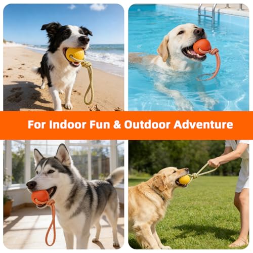 PUPTECK Dog Pool Floating Toys - 2 Pack Fetch Balls on a Rope Toys for Medium Large Dogs, EVA Durable Rubber Water Pet Interactive Toys, for Summer Beach Outdoor Throw Training Retrieving Play