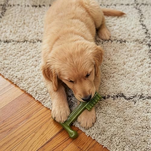 SPOT Bam-Bones Plus Toothbrush Dog Chew Toy 2-Pack for Small Dogs 10-30 lbs, Bamboo & Nylon Dental Chew with Mint & Baking Soda, T-Bone for Moderate to Heavy Chewers, 4 Inch - size: 4 Inch (Pack of 2)