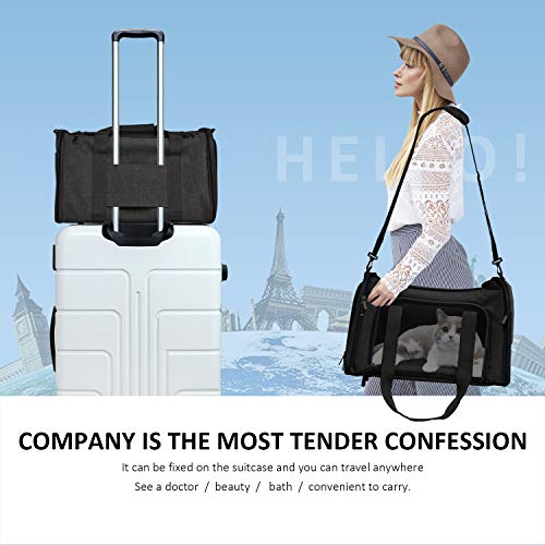 Henkelion Large Soft Sided Cat and Pet Carrier for Cats and Puppies up to 25Lbs - Collapsible, Waterproof Travel Carrier - Black - color: Black, size: 20.0"L x 13.0"W x 13.0"H