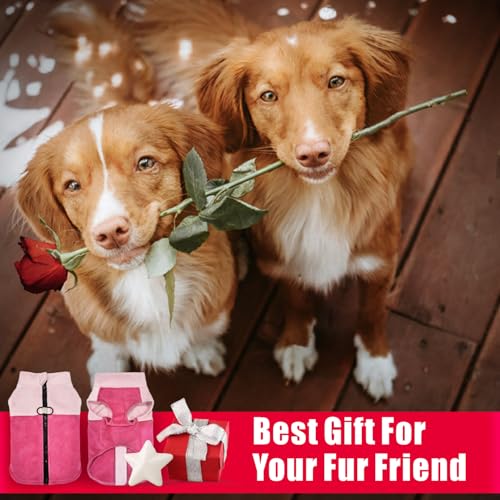 Idepet Dog Fleece Vest Sweater Zip Up Warm Pullover Dogs Jacket with D-Ring Leash Winter Cold Weater Coat Pet Sweatershirt Clothes Hoodie for Small Medium Dogs Boy Girl (Pink/Rose Red, S) - color: Pink/Rose Red, size: S