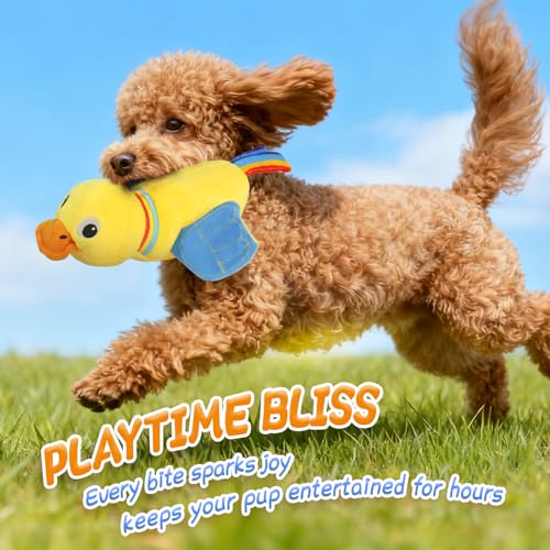 lilfrd Duck Dog Toy, Crinkle Squeaky Plush Interactive Chew Toy for Dogs | Lets pups fill quiet days with fun sound play. Ideal daily toy for small, medium and large dogs. - style: Duck