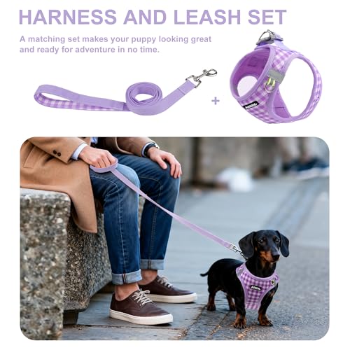 AIITLE Adjustable Dog Vest Harness Set – No-Pull Design, Plaid Print & Reflective Safety– Fits Poodles, Shih Tzus & Medium-Sized Dogs up to 38lbs (M, Purple) - color: Purple, size: M