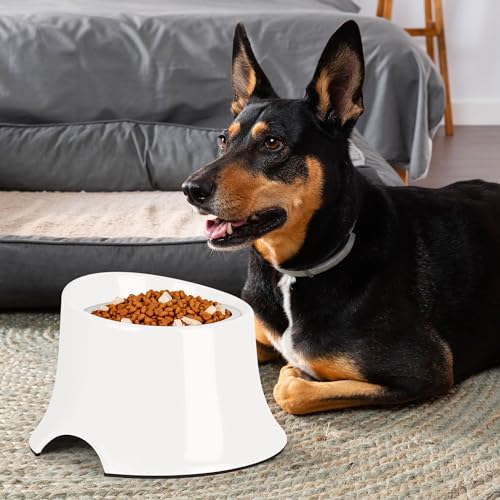Tilted Elevated Dog Bowls Non-Slip & Non-Spill Pet Feeder with Elevated Detachable Melamine Stand, High Capacity Tilted Dog Bowl for Medium Small Size Dogs M/2 Cup White - color: White, size: M/2 Cup