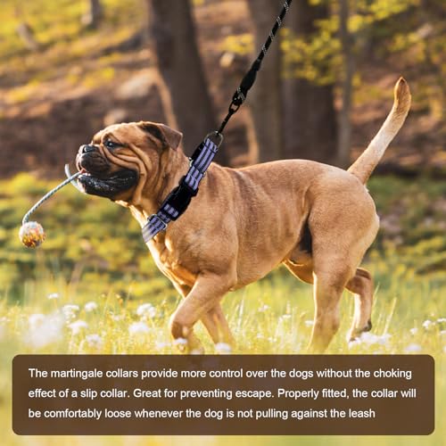 Hikiko Martingale Dog Collars Reflective Nylon Dog Collar with Quick Release Buckle Adjustable Training No Slip Dog Collar (Small, Lavender) - color: Lavender, size: Small
