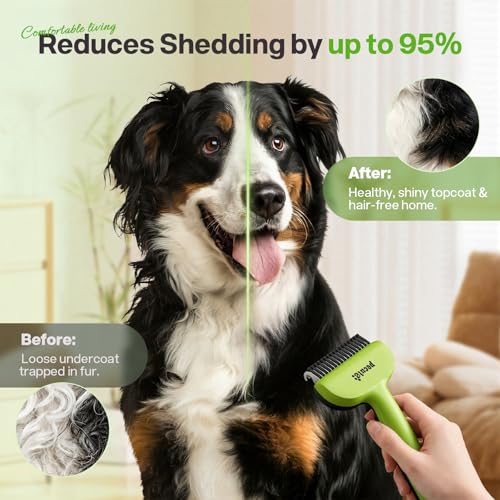 Pecute Self-Cleaning Undercoat Rake for Dogs Cats with Thick Double Coats | 1-click clean, 304SS, 18 rounded teeth, For seasonal heavy shedding & matting, Gentle on pets, Ideal for long/dense coats - color: Green