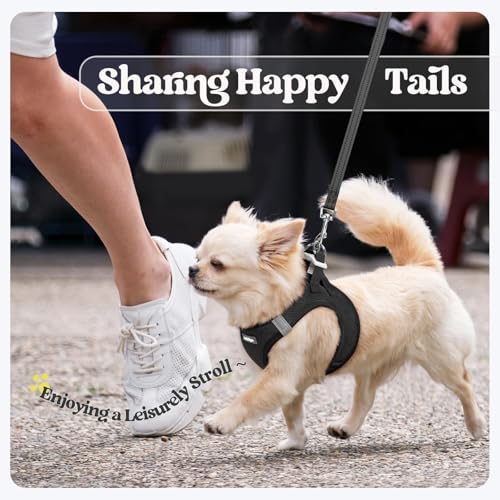 rabbitgoo Dog Harness Small Sized and Leash Set, Step in Soft Light Puppy Vest, Breathable Mesh Pet Harness, Reflective for Safe Easy Walking, Black XXS - color: Black, size: Xxs (chest: 12.4 - 14.2")