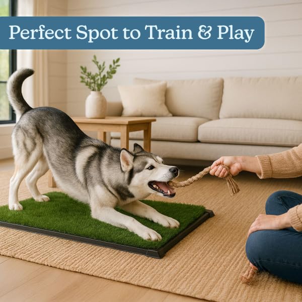 Dog Grass Pad with Tray - 35.5x23.5in Reusable Pee Pads for Dogs - 4-Layer Indoor/Outdoor Artificial Grass Pee Pad - Dog Housebreaking Supplies for Puppy Training by PETMAKER - size: XL 4-Layer System