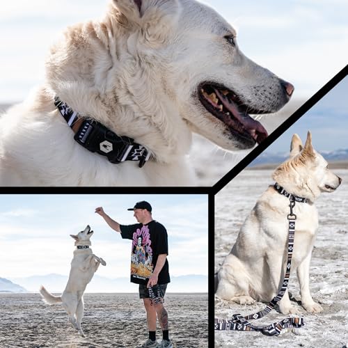 Wolfgang Heavy Duty, Adjustable Dog Collar with Quick Release Nylon Buckle for Walking & Training, NewMoon Print, Small - color: NewMoon Print, size: Small (5/8 Inch x 8-12 Inch)