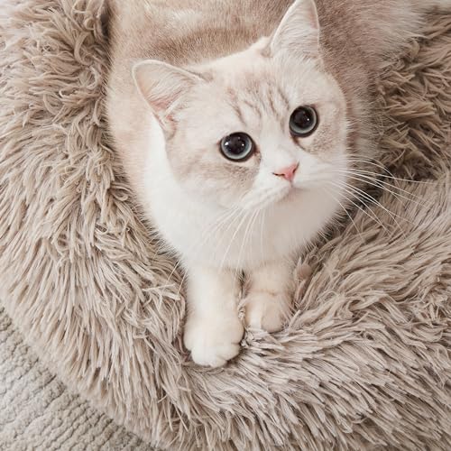 Calming Dog Bed & Cat Bed, Anti-Anxiety Donut Cuddler Warming Cozy Soft Round Fluffy Faux Fur Plush Cushion Bed for Small Medium Dogs and Cats (20"/24"/27"/30") - color: Brown, size: 20.0"l x 20.0"w x 6.0"th