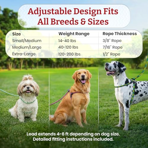 Harness Lead No Pull Dog Harness and Leash Set, Anti Pull Dog Harness for All Breeds and Sizes, One-Piece Cushioned Rope Design Safely Prevents Escaping and Pulling (Medium/Large, Pink) - color: Pink