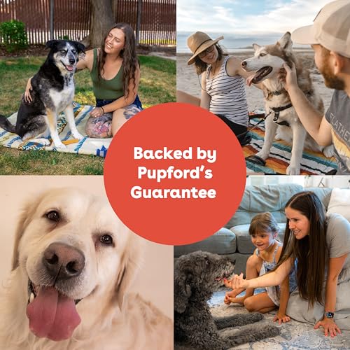Pupford Yak Cheese Chews for Dogs & Teething Puppies, Natural, Long-Lasting Himalayan Dental Treats (3 Pack Small) - size: 1 Ounce (Pack of 3), style: For Small Dogs