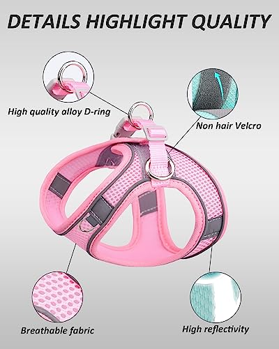 SOLMOONY Dog Harness for Small Medium Large Dogs No Pull, Puppy and Leash Set, Dogs, Step in Harness, mesh Harness. (Pink, XS) - color: Pink, size: XS