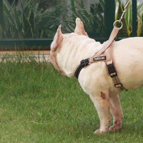 No Pull Dog Harness with Handle, Rear & Front Clip, Adjustable, Easy On/Off, Reflective, Lightweight & Mesh Padded, No Choke. Dog Harness Small Sized Dog (Beige-Black, Small) - color: Beige-Black, size: Small