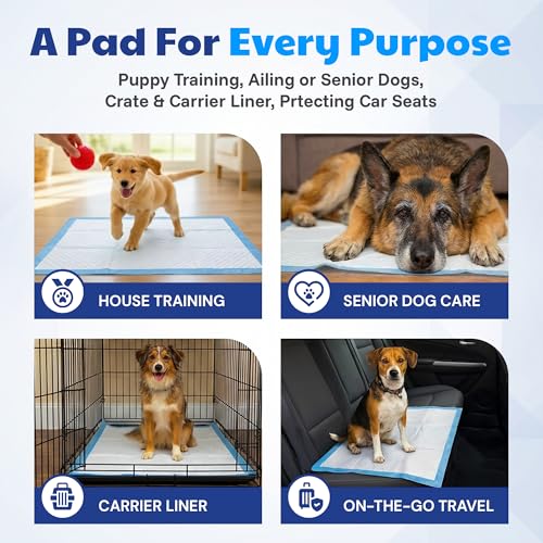 American Kennel Club Scented Puppy Training Pads with Ultra Absorbent Quick Dry Gel – 28 x 30 Pee Pads for Dogs - Fresh Scented - 50 Count, XL - size: 28 x 30 - 50 Count