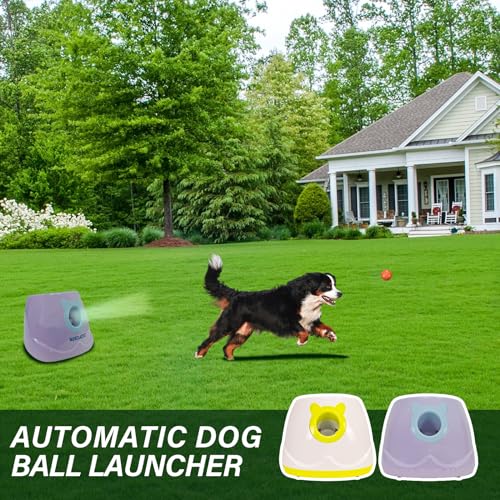 Automatic Dog Ball Launcher for Small to Medium Dogs, Interactive Pet Toy with Balls (Purple)
