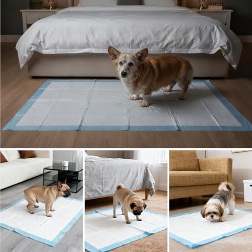 Gimars XL 6-Layer Ultra Absorbent 1200ml 48-Hour Leak-Proof Dog Pee Pads, Quick Dry Extra Large Puppy Pads for Puppy Training, Senior & Incontinent Dogs, Cats, Overnight Use, 28"x34", 30 Count - size: 28"x34"- Blue 30 Counts