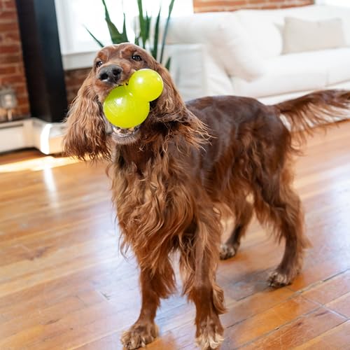 Outward Hound Double-Tuff Stuffable Dog Toy, Large 5-Inch Green - Treat Dispensing Chew Ball for Medium to Large Dogs, Interactive Puzzle for Enrichment & Slow Feeding - color: Double-Tuff Stuffable (Green)
