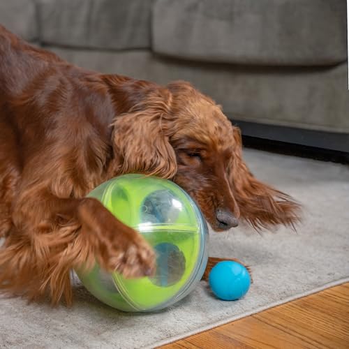 Outward Hound by Nina Ottosson A-Maze Ball Dog Treat Puzzle Ball, Level 2 Intermediate, 8.46" Diameter, Green - color: A-Maze Ball (Blue, Green)
