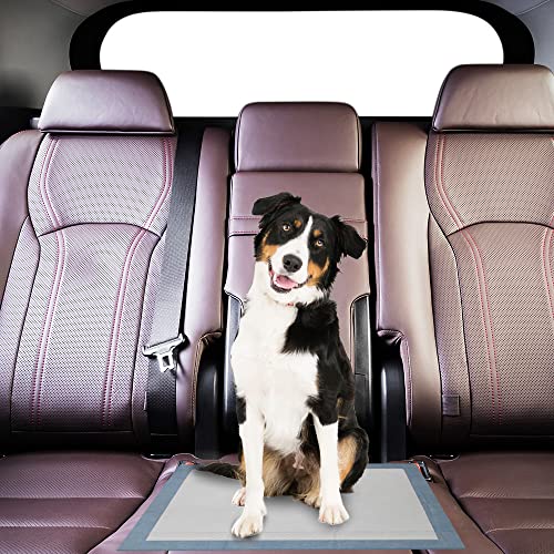 BV Puppy Pads XL 320 Count 34"x28" - Leak-Proof Pee Pads for Dogs with 6-Layer Design, Rapid Dry Sheet & Attractant - Dog Pad Extra Large with Odor Control - Perfect for Big Dogs & Indoor Use - size: XL / 320-Count (Standard)