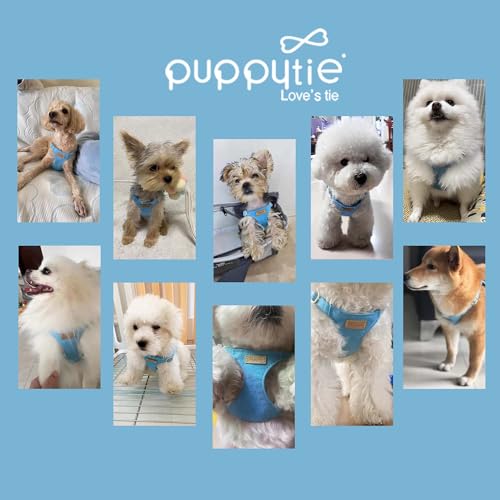 Puppytie xs Dog Harness with Multifunction Dog Leash,Soft Adjustable No Choke Escape Proof Pet Harness Vest,Ocean Blue,XS - color: Ocean Blue, size: XS(4.5-11lb)