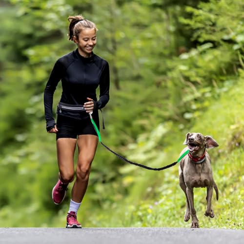 Caudblor Waist Leash for Medium Large Dog Walking, Bungee Hands Free Leash with Zipper Pouch, Around The Waist No Pull Running Dog Belt, Padded Handle Jogging No Hands Heavy Duty - color: Green