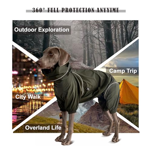 Dog Lightweight Windbreaker, Dog Outdoor 4-Legs Jacket, 0.5 lbs,Durable Water Repellent, Hooded, Easy on/Off with Collar and Harness, Reflective, Packable,Dark Olive (Medium) - size: Medium