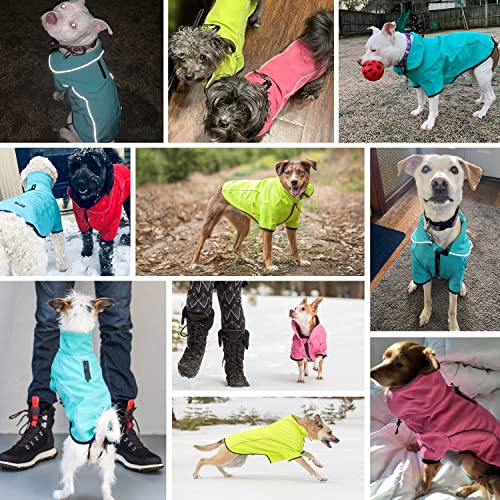 Blueberry Pet Windproof Waterproof Reflective Softshell Dog Jacket, Neon Yellow, Size 12 - color: Neon Yellow, size: Size 12