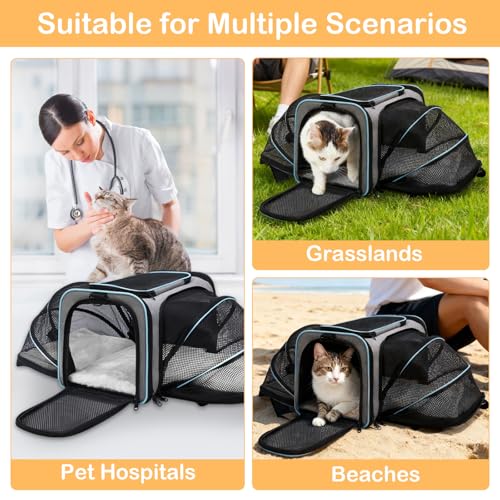 Expandable Airline Approved Pet Carrier, Soft-Sided Travel Bag for Small Cats Dogs with Hard Shell Base, Removable Fleece Pad, Ventilated Mesh, Gray (Blue Trim)