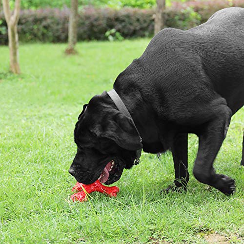 Dog Chew Toys for Aggressive Chewers Large Breed,Indestructible Bones Toy,Durable Cleaning Toothbrush Natural Rubber Dog Toys… (Red) - color: Red
